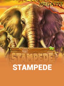 Stampede game cover